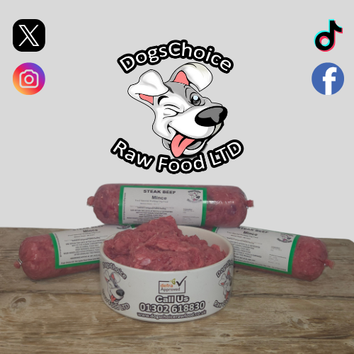 dogschoiceuk's tweet photo. Steaks On The Menu Today

https://t.co/T3dUPQKEqV

#raw #pets #dogs #doncaster https://t.co/PqIq535vYt