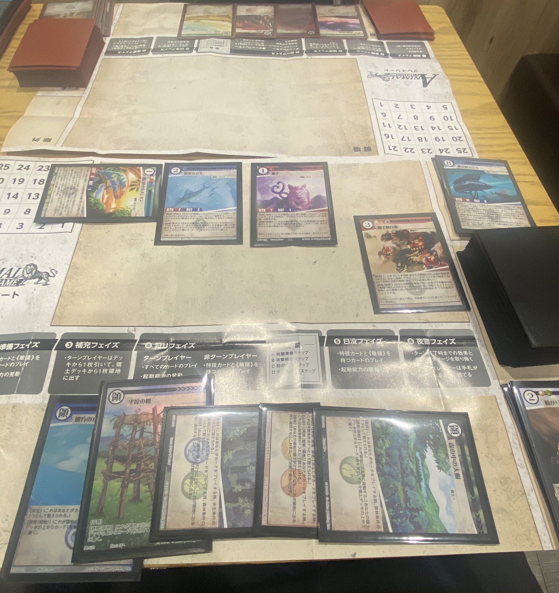 アニマルカードゲーム - Search / X