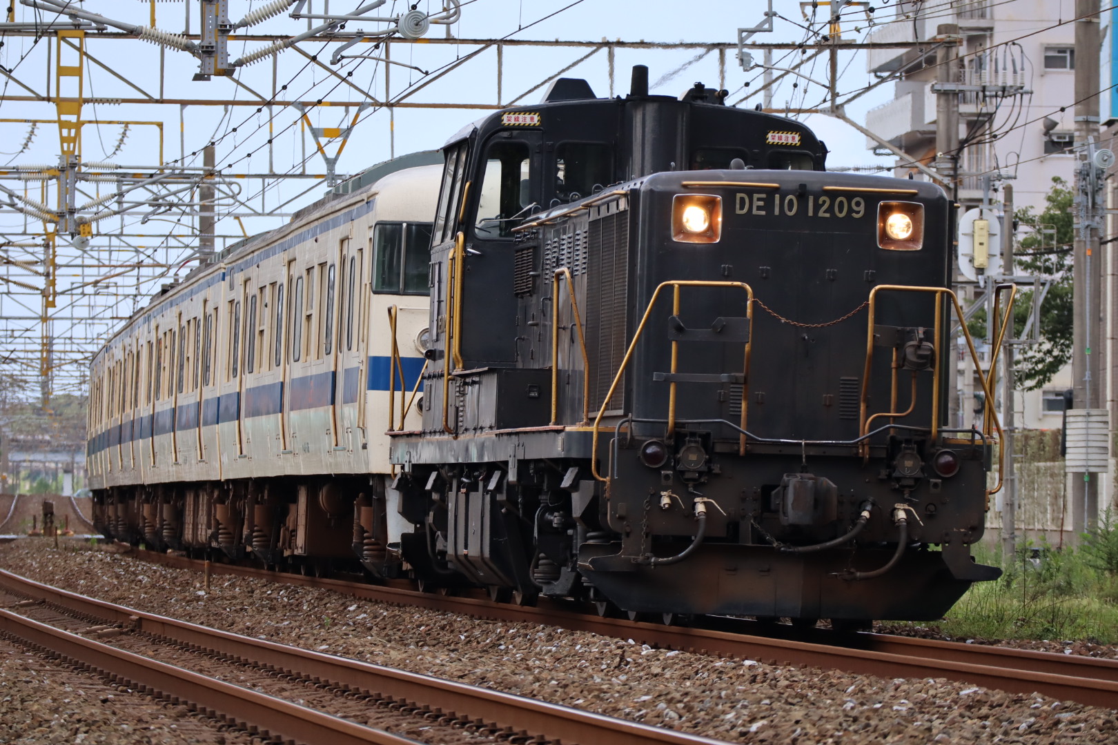 かささぎ on X: 