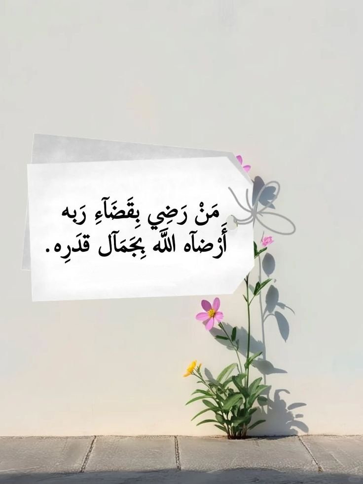 رسالة لكَ🩷..