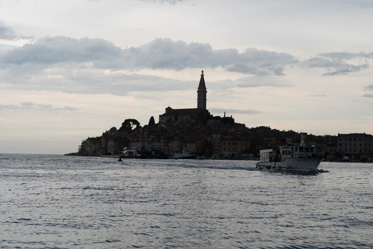 Ngl my favorite before/after so far