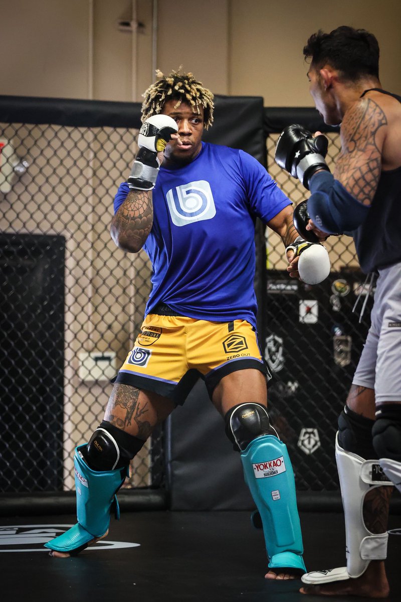 baby mf’ing goose tweet media