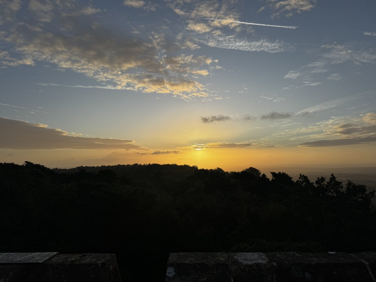 A quick watch at Leith Hill Tower first thing - pretty quiet other than 14 Swallow and a single Grey Wag SW.