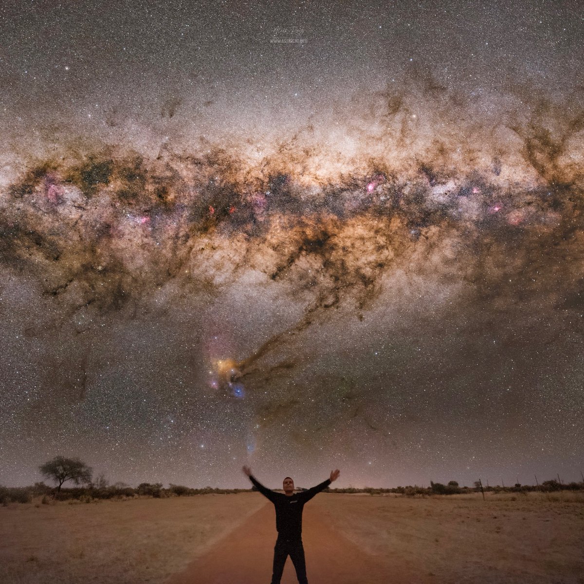 Aleix Roig tweet media