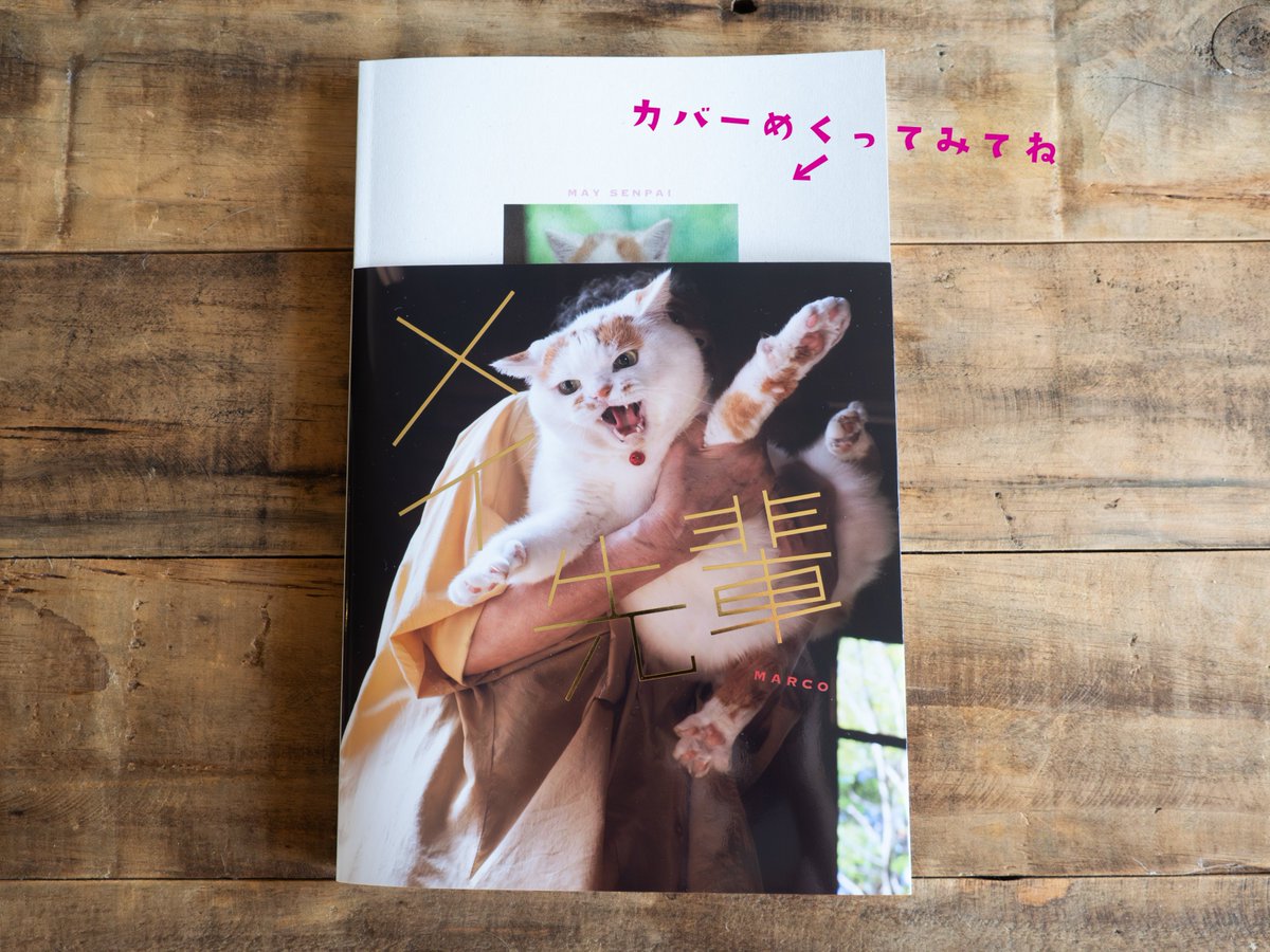 MARCO 写真集「メイ先輩」 (@marco74444) / X