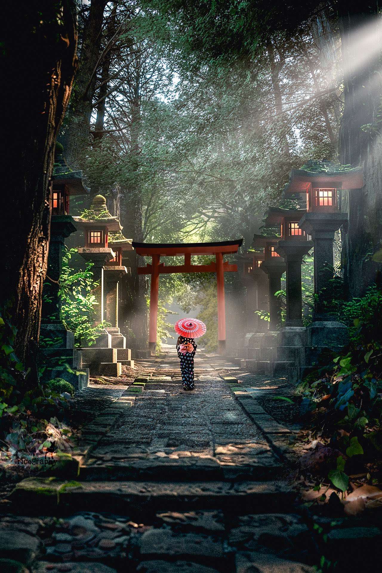 信州の四季、京の四季、北国に四季豪華風景写真集大型本 信州の四季、京の四季、北国に四季豪華風景写真集大型本