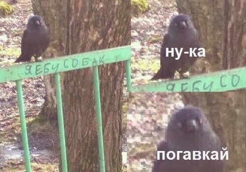 BakaDuraka's tweet photo. @eerie616 Каждый раз ору https://t.co/E5yNZaKo5C