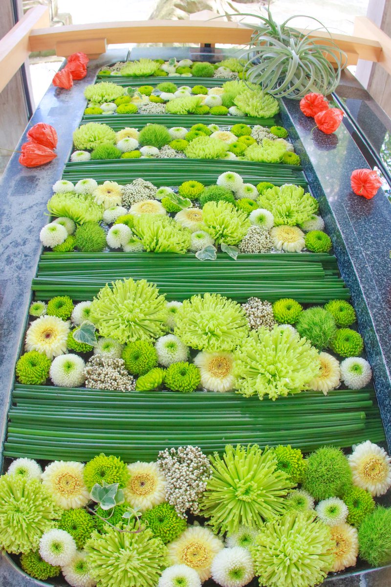 すっごくオシャレな花手水を見てほしい💚
