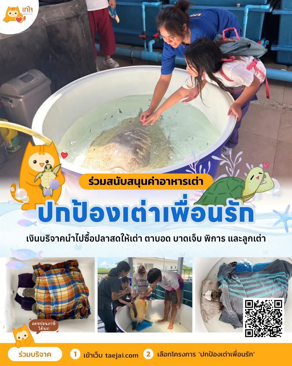 น้องแฟร์กับเพื่อนๆ กลุ่ม Friends of the Sea in Thailand (FOST) ได้รู้จักเรื่องราวของเต่าทะเลจากสารคดี ได้เห็นทั้งเต่าที่บาดเจ็บ ติดอวน หรือเผลอกินขยะพลาสติกเข้าไป เด็กๆ เลยอยากลงมือทำอะไรสักอย่างเพื่อช่วยเต่า จึงเกิดเป็นโครงการ “ปกป้องเต่าเพื่อนรัก”