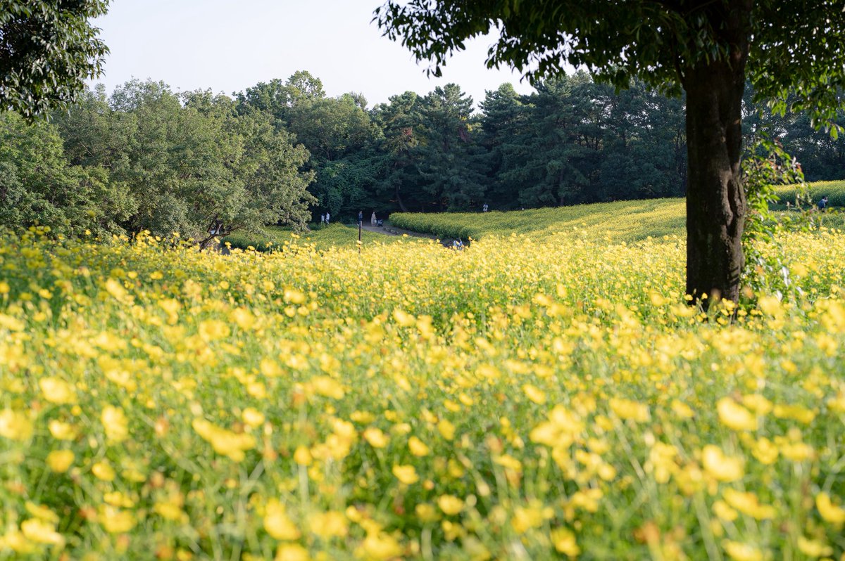 小さな幸せを拾い集めて。