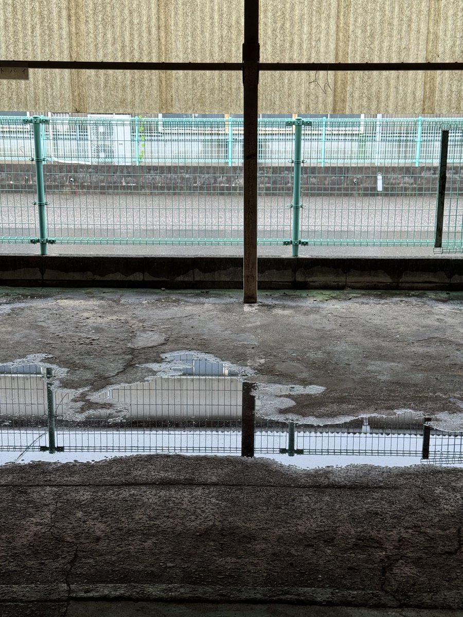 雷が鳴ると、テンション爆上げしますね。
何か起こりそうじゃないですか。
本能寺の変とか。