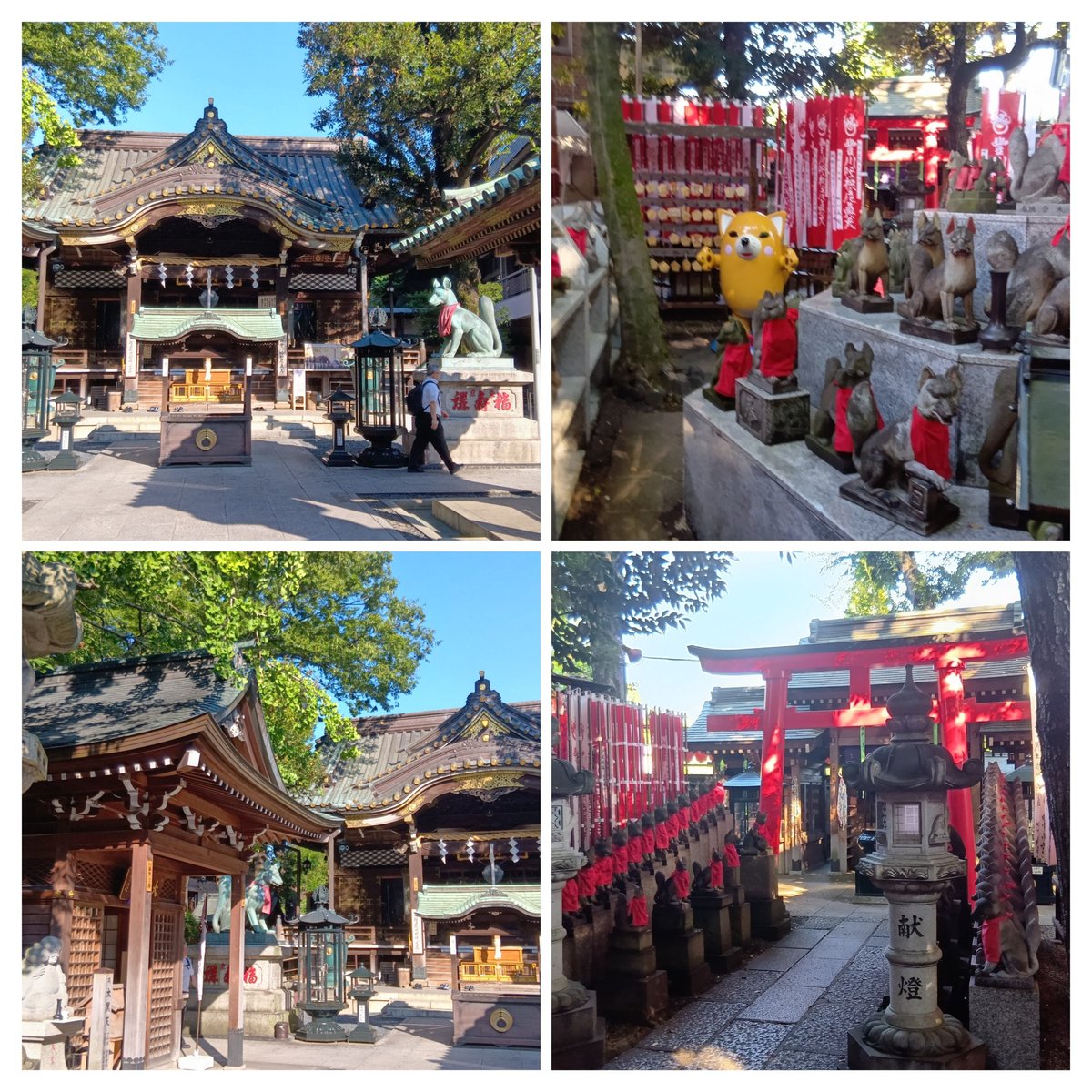 jinkishima's tweet photo. 豊川稲荷東京別院
都内とは思えない程、緑が美しく癒しのスポットで素晴らしい神社です。外国人も多く訪れていて、程よく人の流れが絶えない印象です。
因みにこちらは私が毎朝お詣りさせて頂いている神社です🌝 https://t.co/Q5FyF8mnZM
