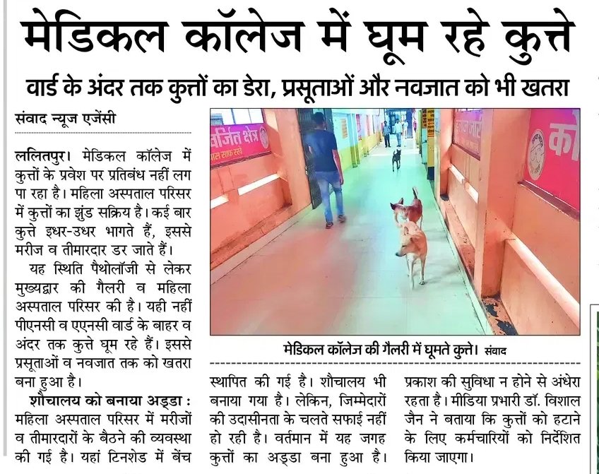 😡🏥 मेडिकल कॉलेज बना आवारा कुत्तों का अड्डा! 🐕

ललितपुर मेडिकल कॉलेज में हालात इतने बदतर हैं कि –
👉 वार्ड और अस्पताल की गलियों में आवारा कुत्तों का झुंड घूम रहा है
👉 प्रसूता माताओं और नवजात शिशुओं तक की ज़िंदगी खतरे में
👉 मरीज और तीमारदार डर के साये में इलाज कराने को मजबूर