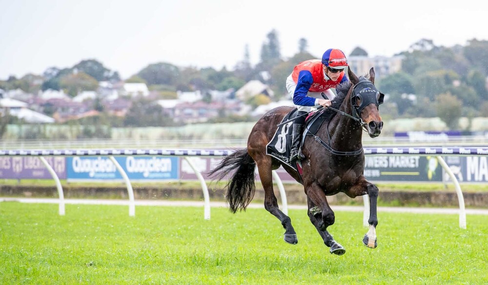 RacingWA_Tbreds's tweet image. When both Ben Pearce and Clint Johnston-Porter get excited about a maiden winner, it's worth taking note.
racingwa.com.au/news/2025/08/2…
@santassnippets @tabtouch @westernracepix @perthracing @pearce_racing