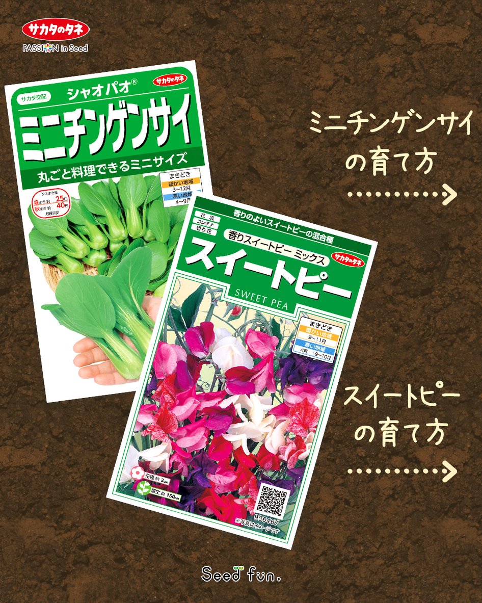 サカタのタネ_Seedfun.【公式】 (@sakatanotane_jp) / X