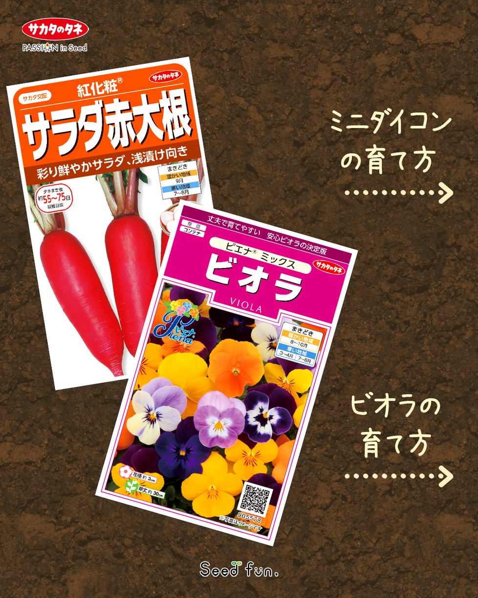 世界に夢をまく「サカタのタネ」 世界に夢をまく「サカタのタネ」 世界に夢をまく「サカタのタネ」: