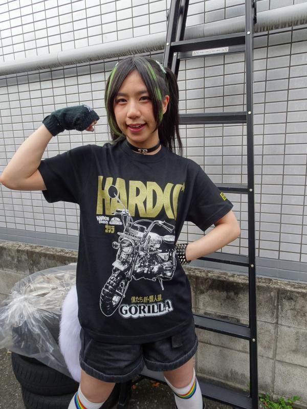 ニュースクールハードコア29枚 まとめ売り(バラ売り可) ニュースクールハードコア29枚 まとめ売り(バラ売り可) ハードコア