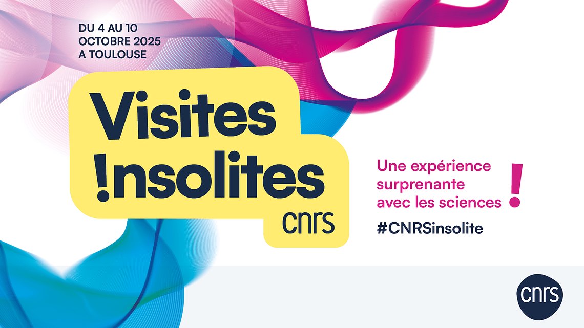 EchoSciSud's tweet image. Vous connaissez les Visites insolites du @CNRS ?

Le principe : ouvrir les portes de laboratoires à des groupes restreints, pour des visites décalées.

🗓️ Trois d&apos;entre elles auront lieu à Toulouse début octobre, inscrivez-vous avant le 17 septembre :
echosciences-sud.fr/annonces/visit…