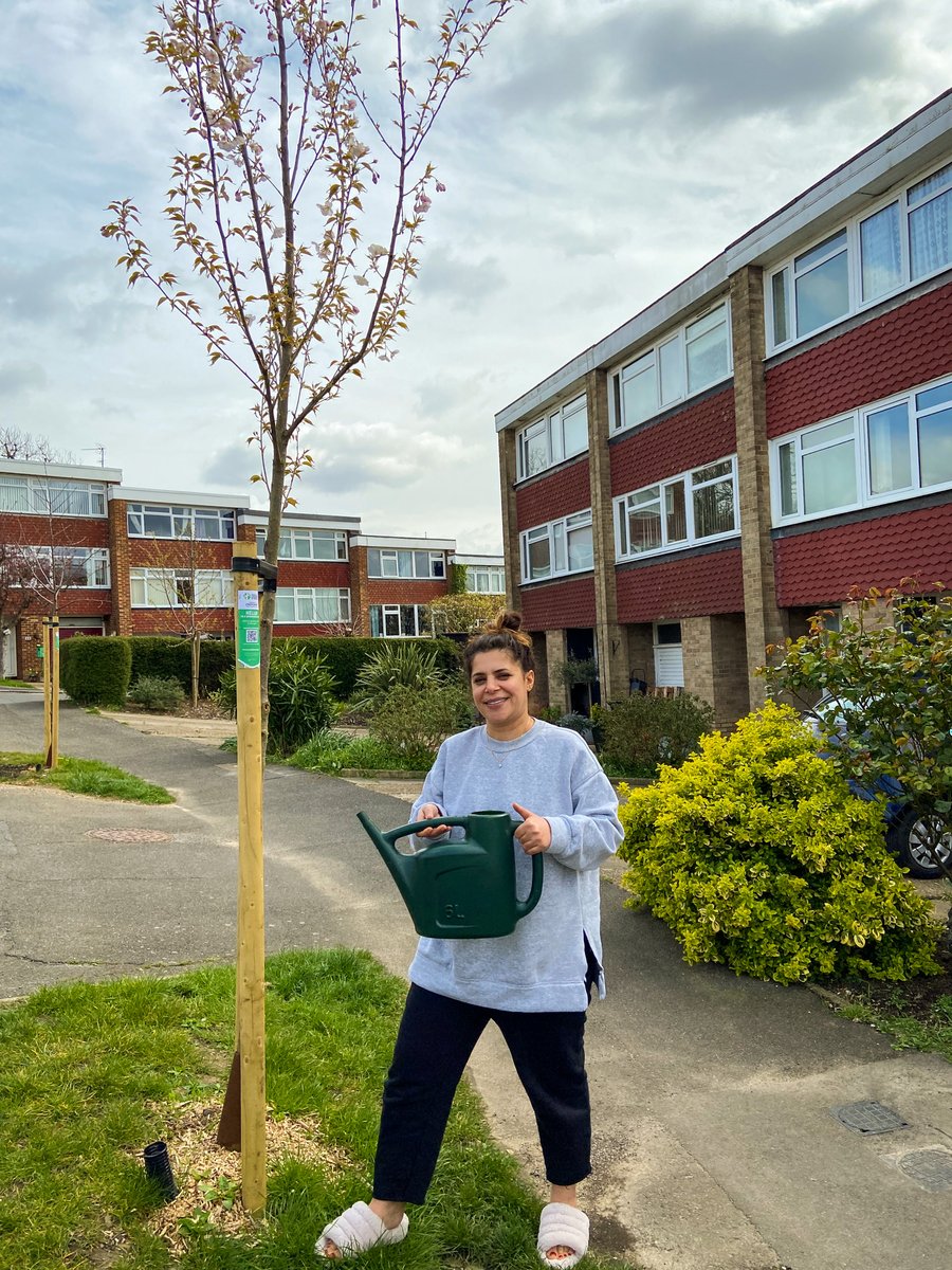 Do you have our Watering Champions app on your phone? 📲

Download it today to get weekly reminders to water your local street trees 💧🌳

Find out more 👉 treesforstreets.org/watering-champ…
