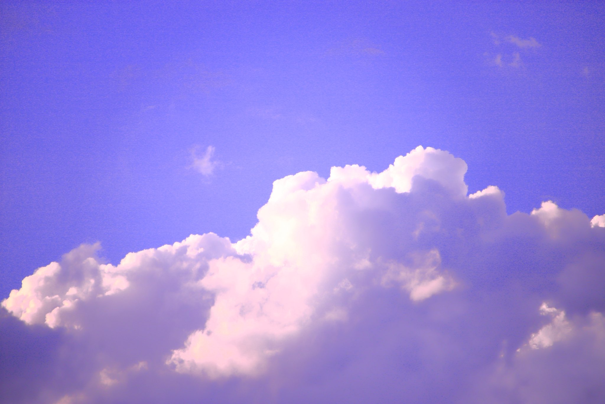 桃色の雲ページ Cherry blossoms, Clouds, Canola flowers, Painted with