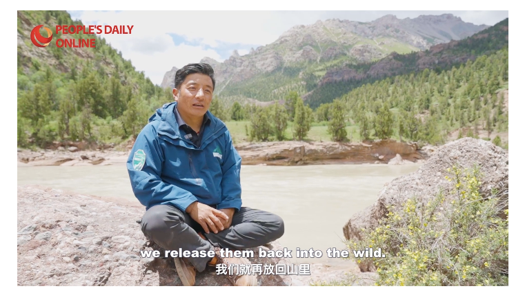 PuebloEnLnea's tweet photo. Veinte años de progreso ecológico: safari a través de #Sanjiangyuan
https://t.co/P8PQKyRlxD https://t.co/dWgs4bzrpb