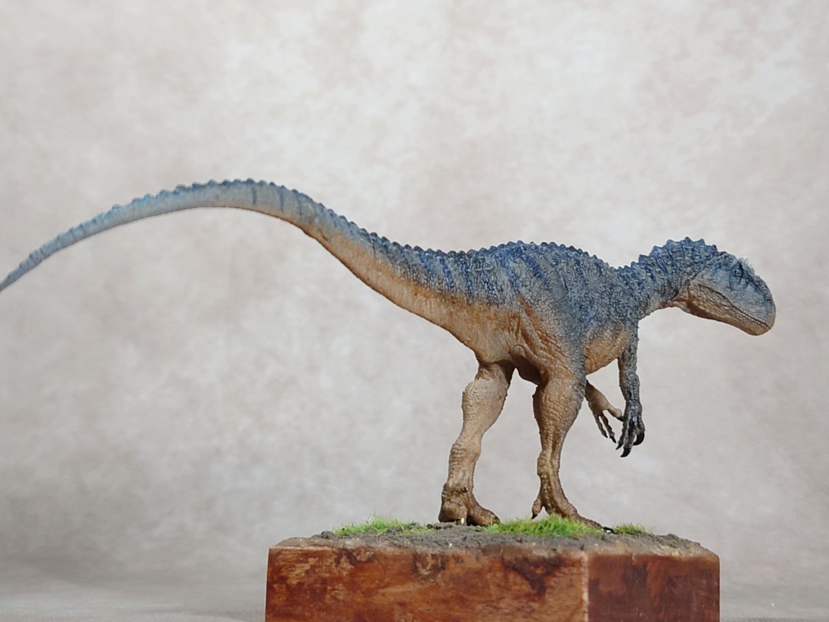 梨の木屋 様(<a href="/nashinokiya/">umr山本 梨の木屋</a>)
アロサウルス
完成しました。
青で模様を描きつつ、全体的に落ち着いたシンプルめな塗装になるようにしてみました。
安定して飾れるように簡易的な台座も製作。
高さ7cmにも満たない大きさなのに、鱗や皺等 緻密に作り込まれたアロサウルスです。
#恐竜