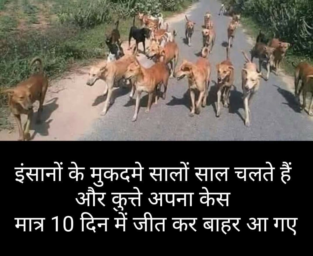 श्री रामचन्द्र जी कह गए सीता से,
ऐसा कलियुग आएगा,
बात सुनी जाएगी कुत्तों की,
इंसान खड़ा रह जाएगा।
#homebuyers
#Suprmecourt
#OasiBuildmartIndiaPvtLtd
<a href="/myogioffice/">Yogi Adityanath Office</a> 
<a href="/indSupremeCourt/">Supreme Court of India</a>