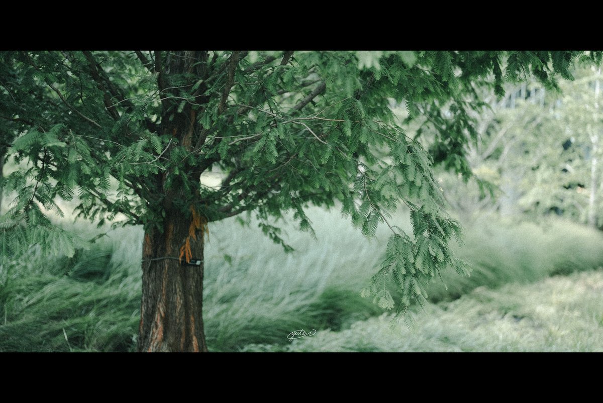 Cinematic