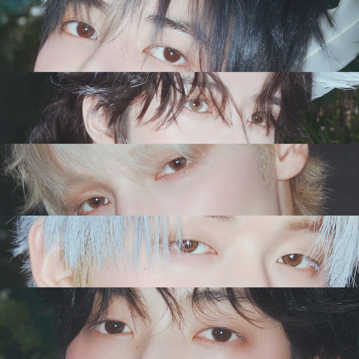 prettiest sets of seraphic eyes