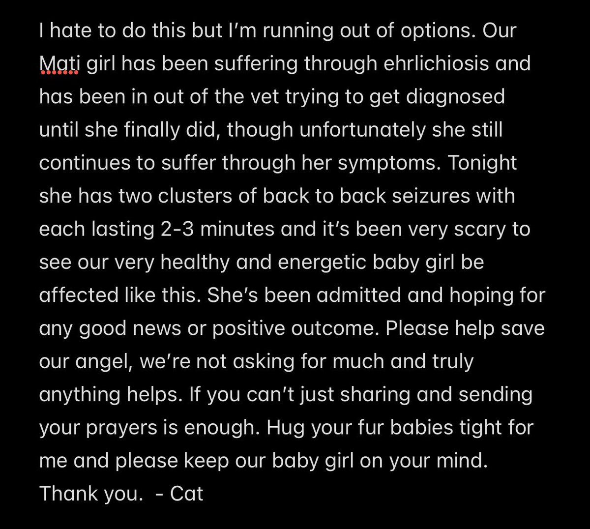 Cat! 🐇🎀 (pre-debut) tweet media