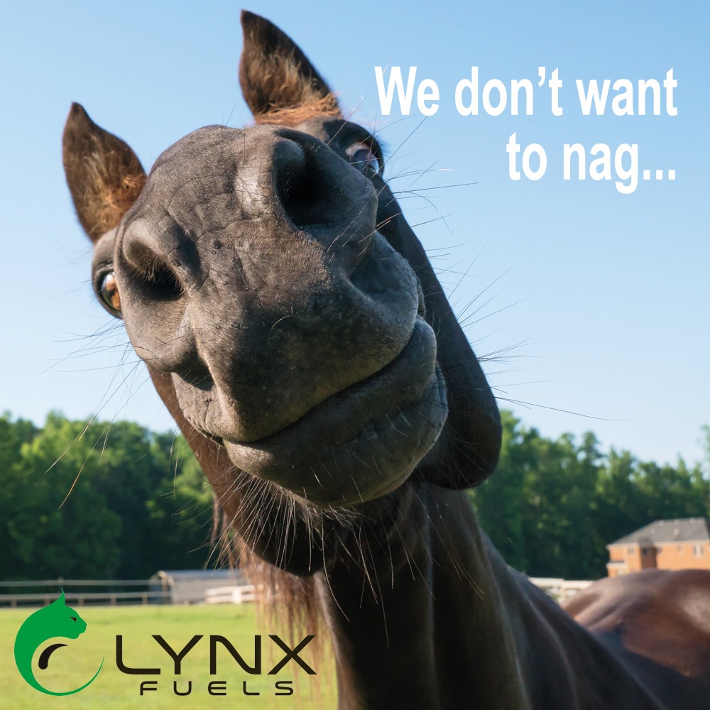 We don’t mean to nag… but autumn is coming! 🍂🐴

The leaves are turning, the mornings are getting crisp, and your heating oil tank might be feeling a little empty…

Top up now, stay cosy later, and avoid that last-minute winter scramble.

Order here: lynxfuels.co.uk