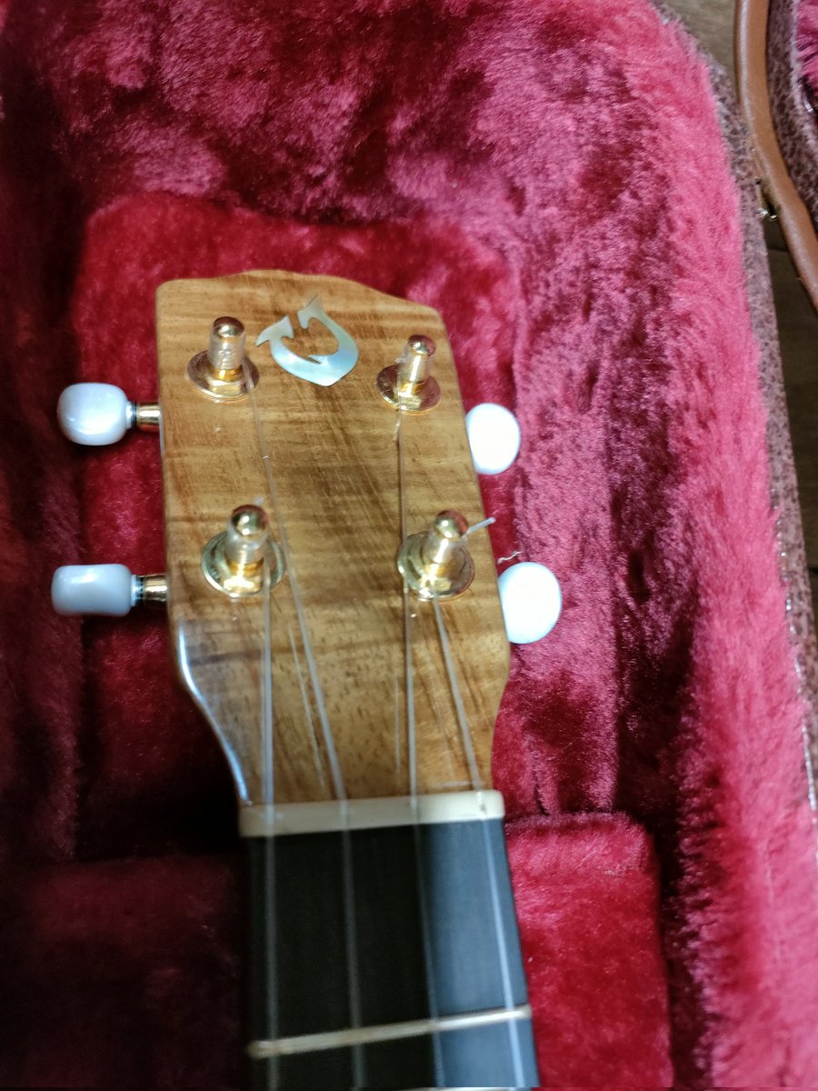 ウクレレ担当のPです
Gストリングのロゴ、ディズニー好きの私はモアナに出てくるマウイを思い出しますｗ
#Gstring はサウンドホールの中もオシャレなの知ってますか?
ウクレレピクニックでご覧ください😀特価品もあり！

9月6日7日は ウクピク 日本娯楽ブースへ‼️

#ウクレレピクニック2025 #ハワイ