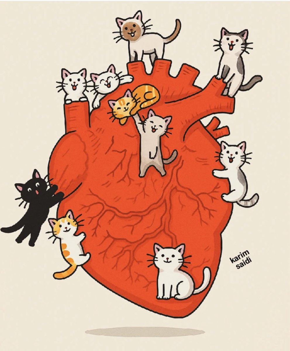 Una radiografía de mi corazón ❤️