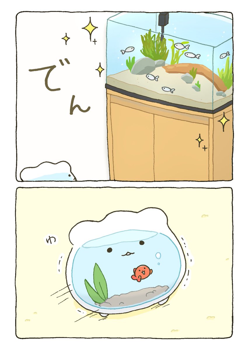 金魚鉢ちゃん  水槽がきた

（1/2）