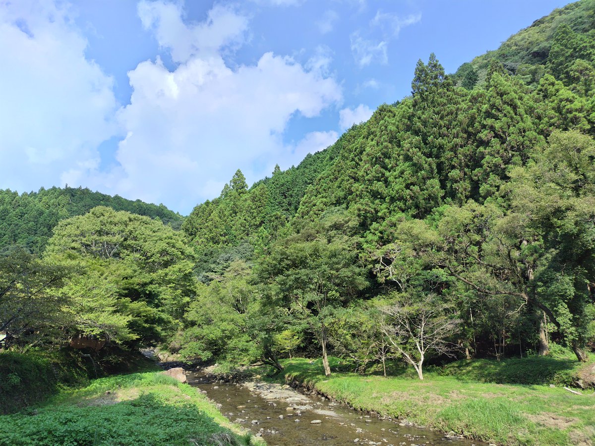 川のせせらぎ、涼しい風。静岡の奥地に行ってきました…って、あれ？
これ、南足柄でも同じじゃ？