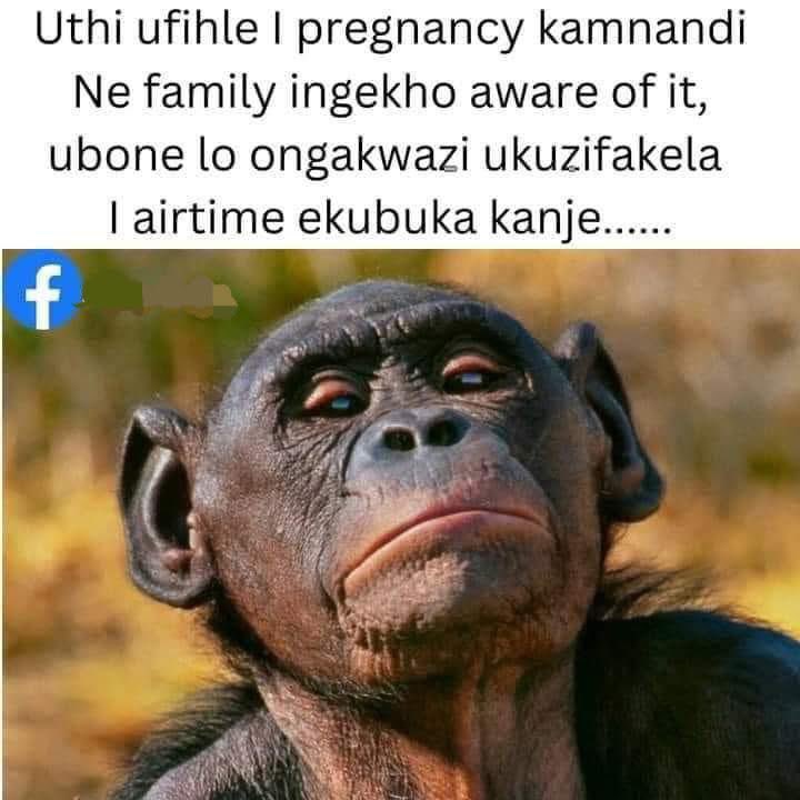 NtsikiMazwaiMedia tweet media