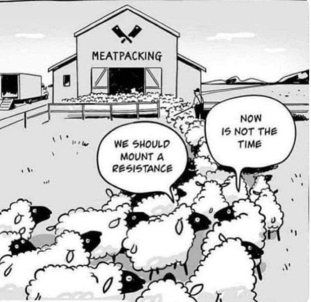 🧵

Below, I've tried to summarise, critique, and contextualise Nigel Farage's disgusting, immoral and unworkable authoritarian 'plan' to turn Britain into an unwelcoming, deeply illiberal, and dangerously polarised pariah state.

FFS WAKE UP!