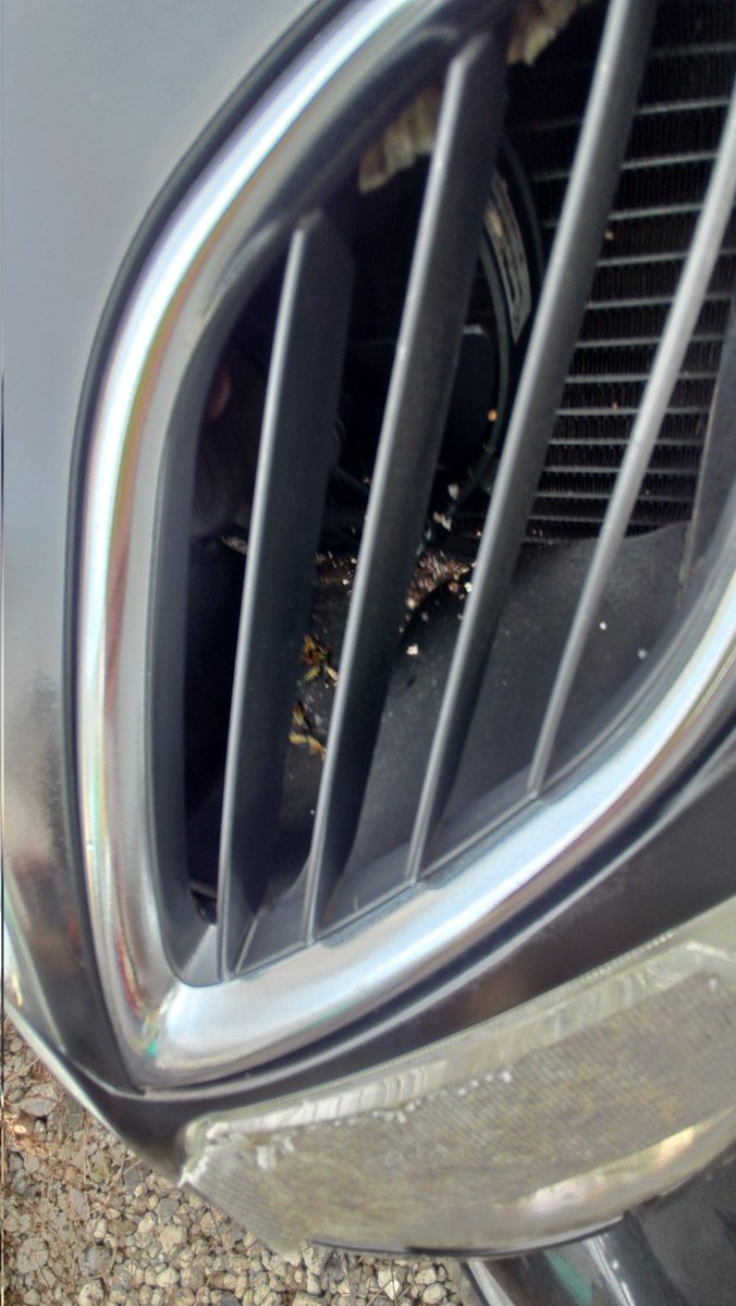 yositakajunk's tweet image. 事務所が快適になった！
裏のバイクにめっちゃアシナガバチの巣が出来てて室外機取り付けは命懸けw
@wak2racing 
@K2tech_AC