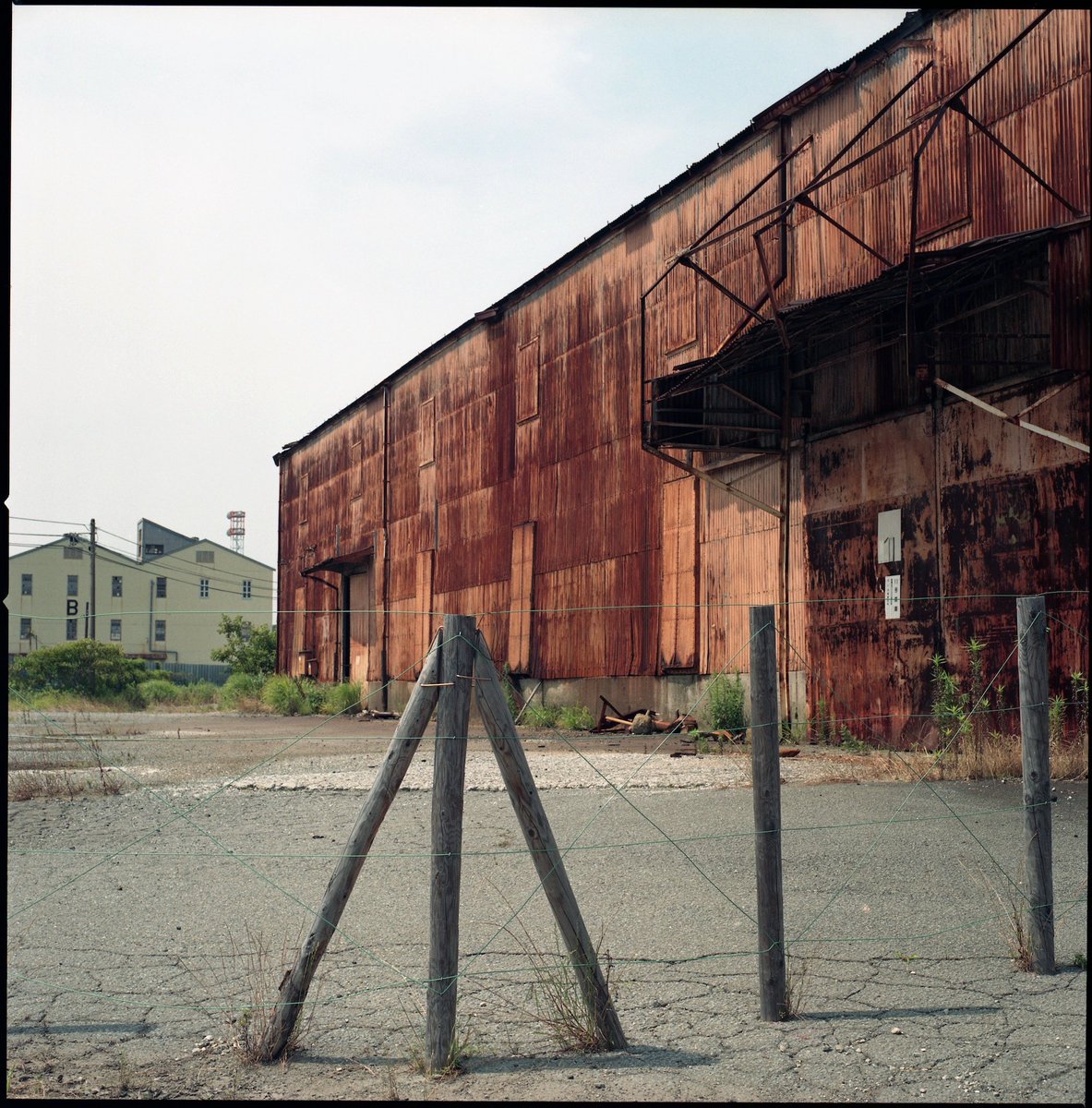 satotheshooter's tweet image. Hasselblad 500C/M / Carl Zeiss Planar 80mm f2.8 T* / Fujifilm Fujicolor Super G 100

#filmphotography 
#mediumformat
#hasselblad
#6x6