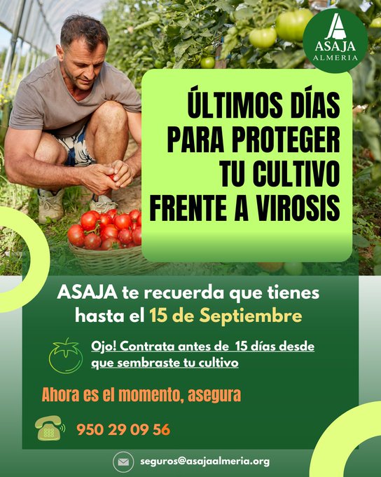 FHALMERIA 🌱 (@fhalmeria) on Twitter photo El 15 de septiembre finaliza el plazo para proteger el cultivo frente a virosis...
fhalmeria.com/noticia-36694-… <a href="/ASAJAAlmeria/">ASAJA Almeria</a> El 15 de septiembre finaliza el plazo para proteger el cultivo frente a virosis...
fhalmeria.com/noticia-36694-… <a href="/ASAJAAlmeria/">ASAJA Almeria</a>