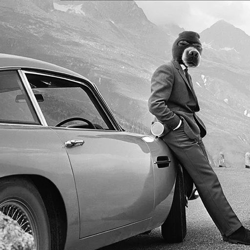 $SKI IS THE FINAL BOSSSSS 

$SKI IS GONNA RULE THEM ALL 

$SKI WILL OUTPERFORM EVERYTHING 

THE PROPHECY WOULD COME TO PASS

$BTC &gt; $ETH &gt; $SKI &gt; $10