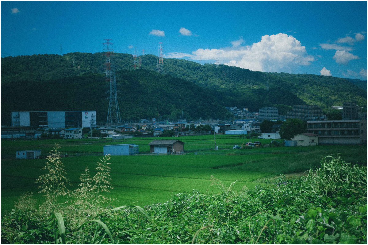 風景写真 Beautiful windmill scenery this week at Kasumigaura