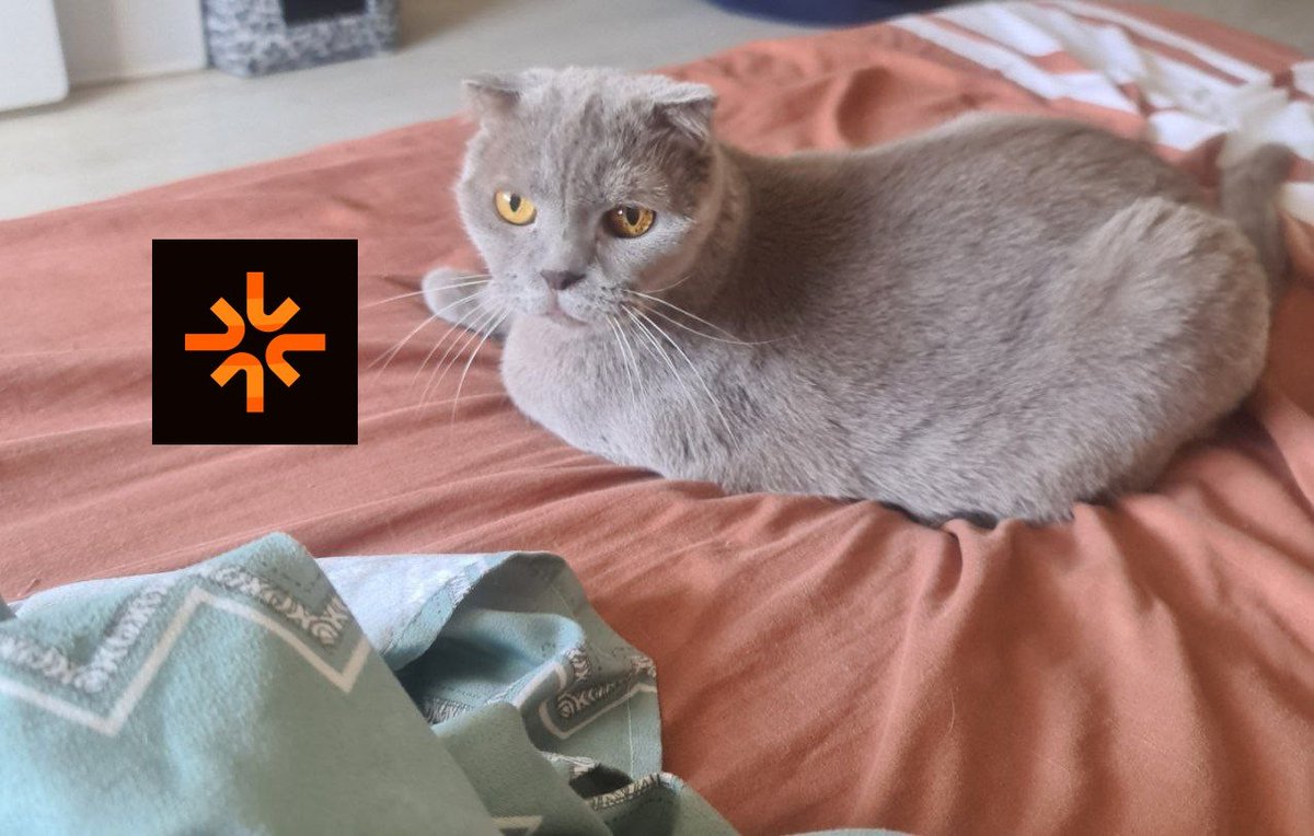 Evgenij61859806's tweet photo. My cat woke up. Was it the alarm clock? No, it was a dream. A dream about Tabi. Good morning, Tabi.
Or maybe my cat woke up. Was it looking for dried fish? No, it was SBT.#Web3Meow #CatApproved
@Tabichain #TABI #Tabizen https://t.co/Lqr6XhA7oF