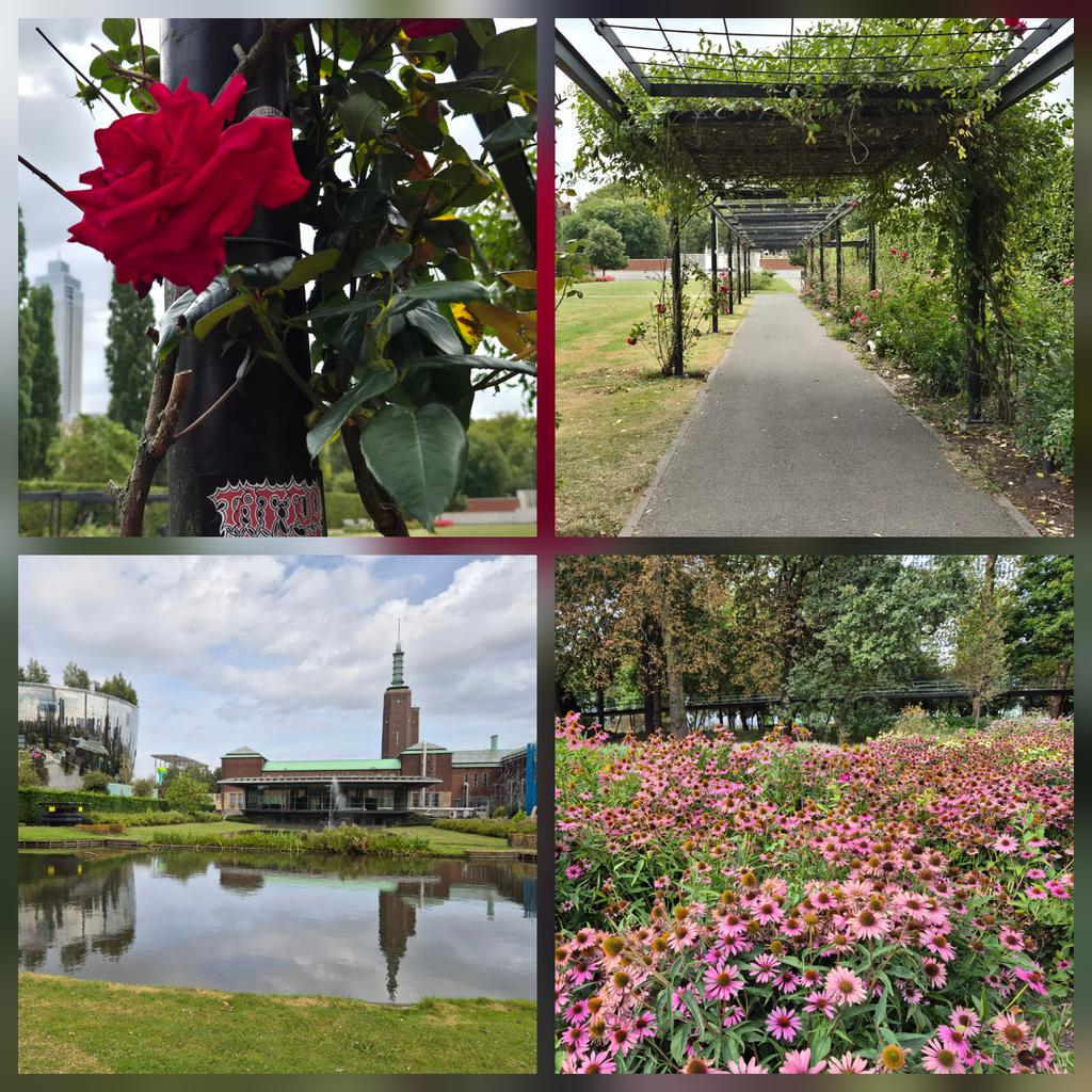 marian070249's tweet image. Vierluik vd #rozentuin en #museumpark.
Helaas voel ik me er nog steeds niet veilig, vooral aan de kant van #EMC. Vreemde lui op de stenen banken en het stinkt er naar poep...ik ben teruggelopen.
Zo jammer.....