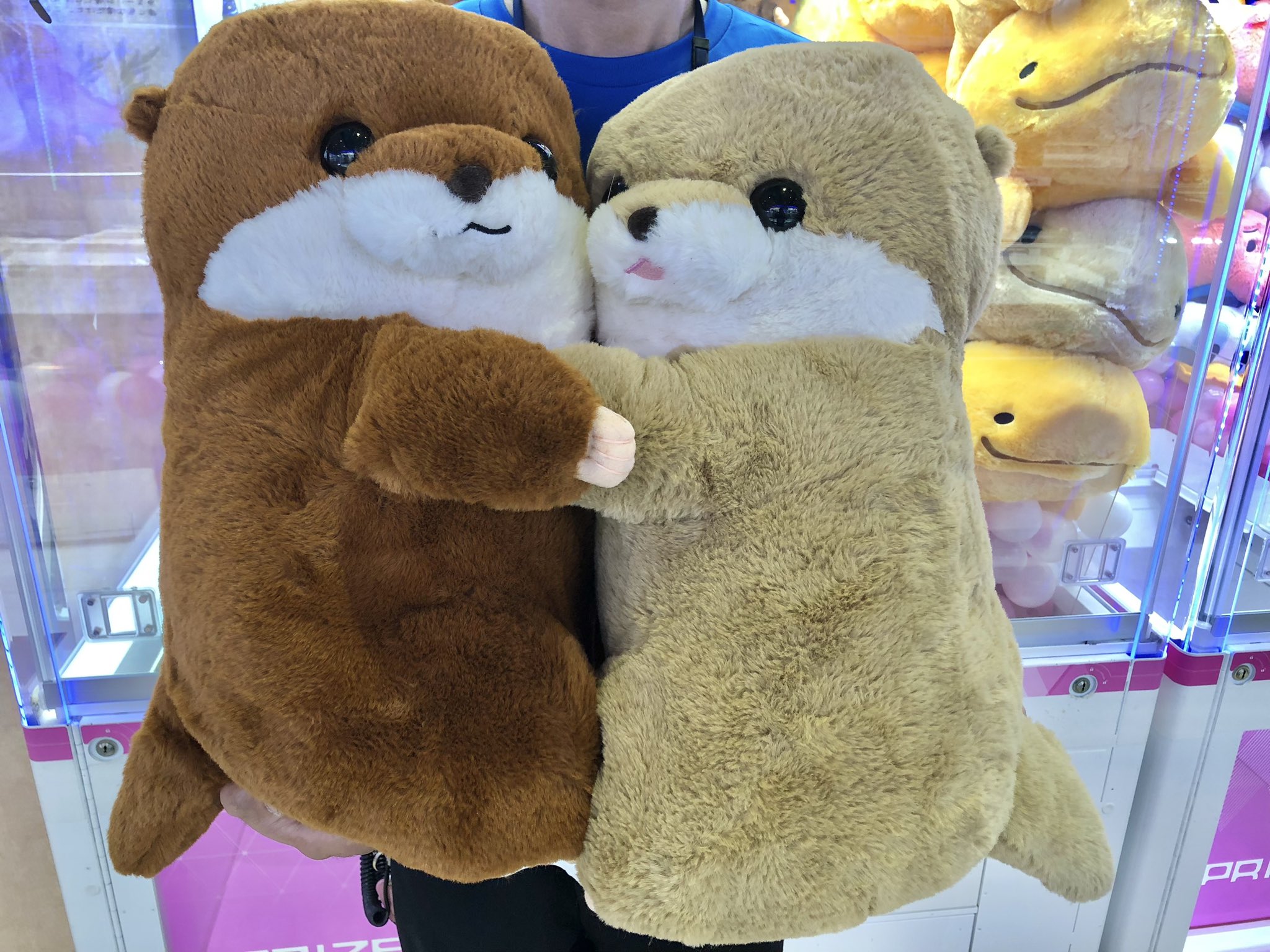 くったりカワウソの赤ちゃん - Search / X