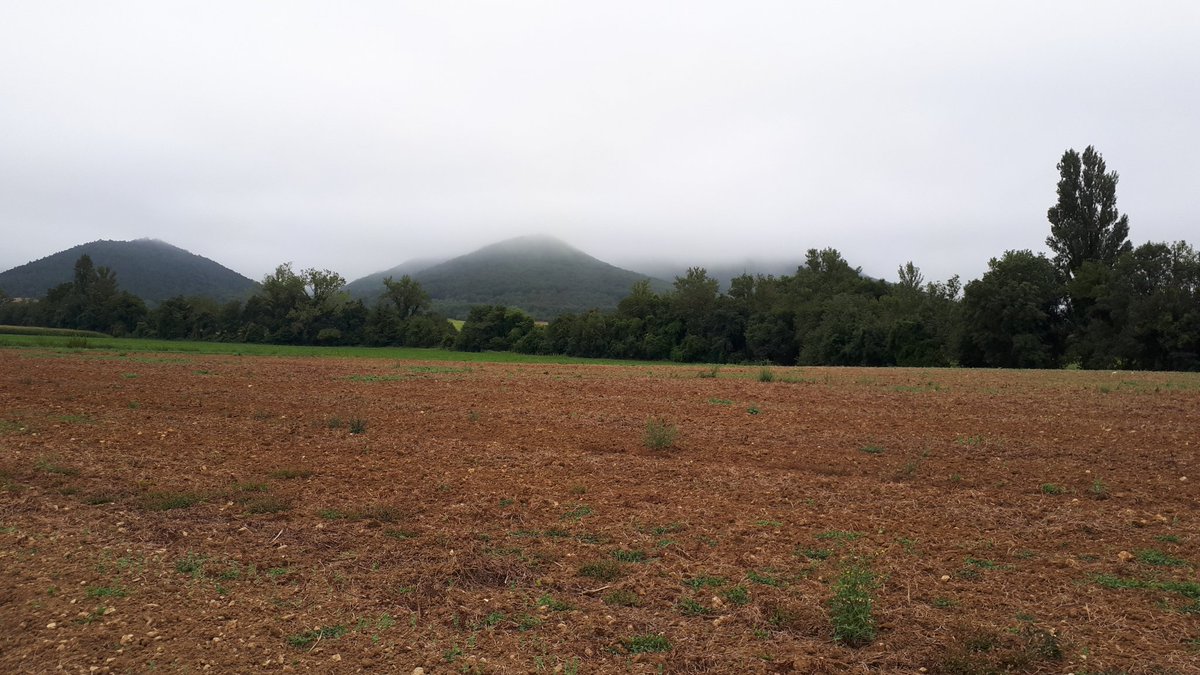 Dia fresco y oscuro en la Llanada Alavesa. 18°.
<a href="/Arabamet/">Arabamet</a> <a href="/meteosojuela/">Meteosojuela La Rioja</a> <a href="/ZubizarretaPili/">Pili Zubizarreta Salvador</a> <a href="/meteodelnorte/">La Meteo del Norte</a> <a href="/Navarrameteo/">Urko Jalle</a> <a href="/minervagra/">Minerva GG</a> <a href="/Euskalmet/">Euskalmet</a>