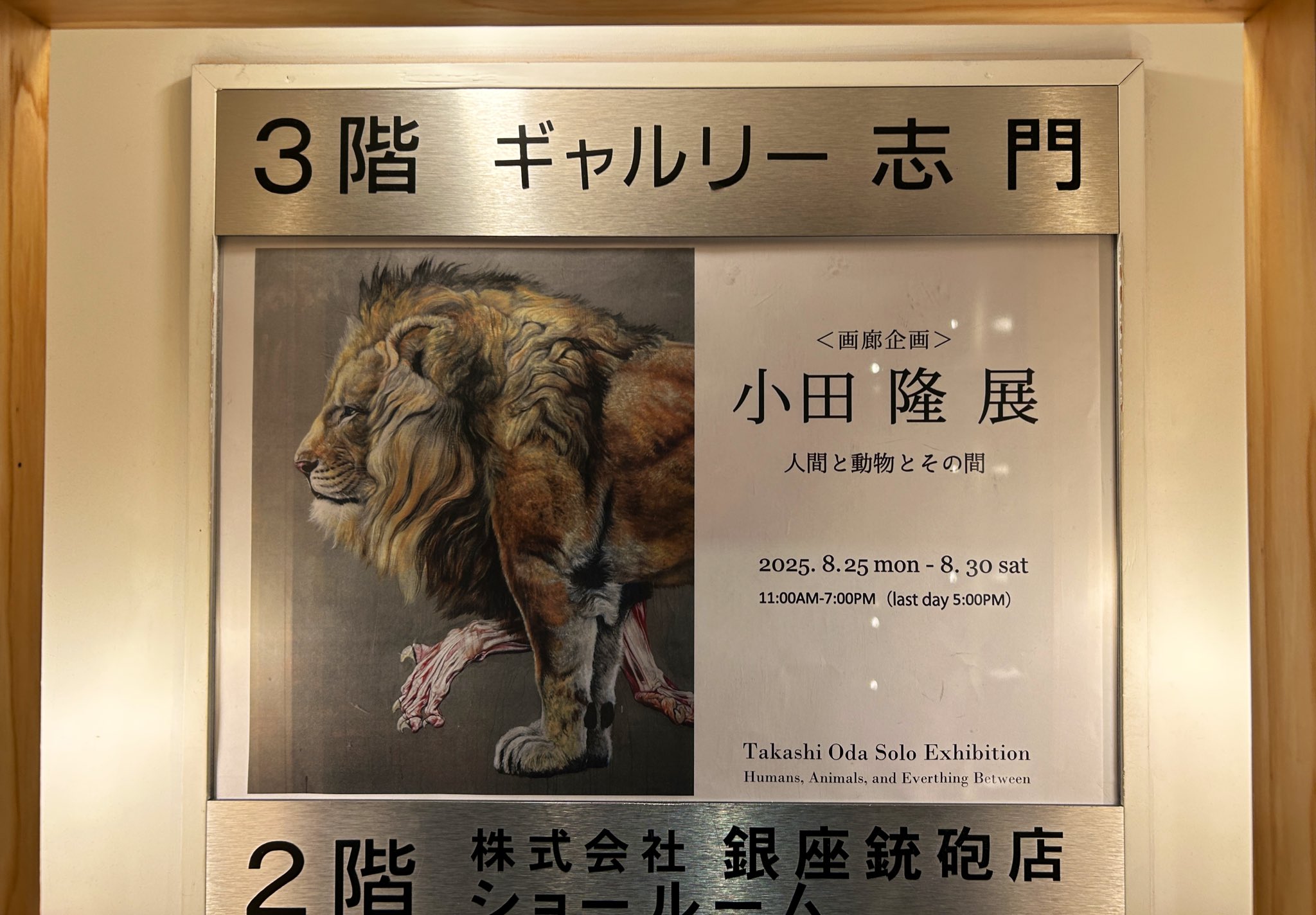 府高 8/14〜9/15ドレッドノート「府高航平作品展」🦖8/23~24