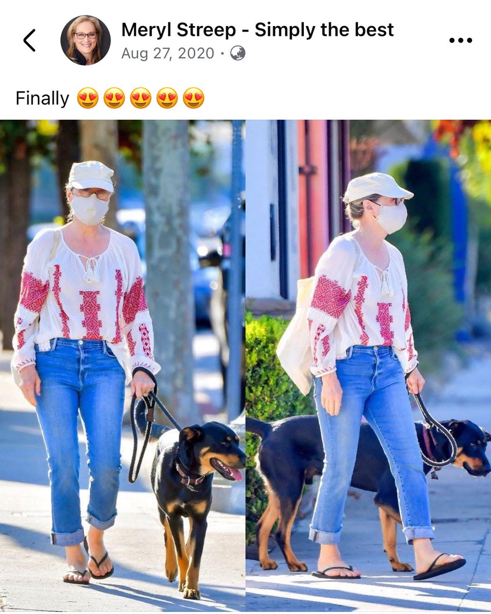 itsnotaboutabby's tweet photo. Five years ago today 🐕‍🦺

#meryl #streep https://t.co/iUaSBqScD3