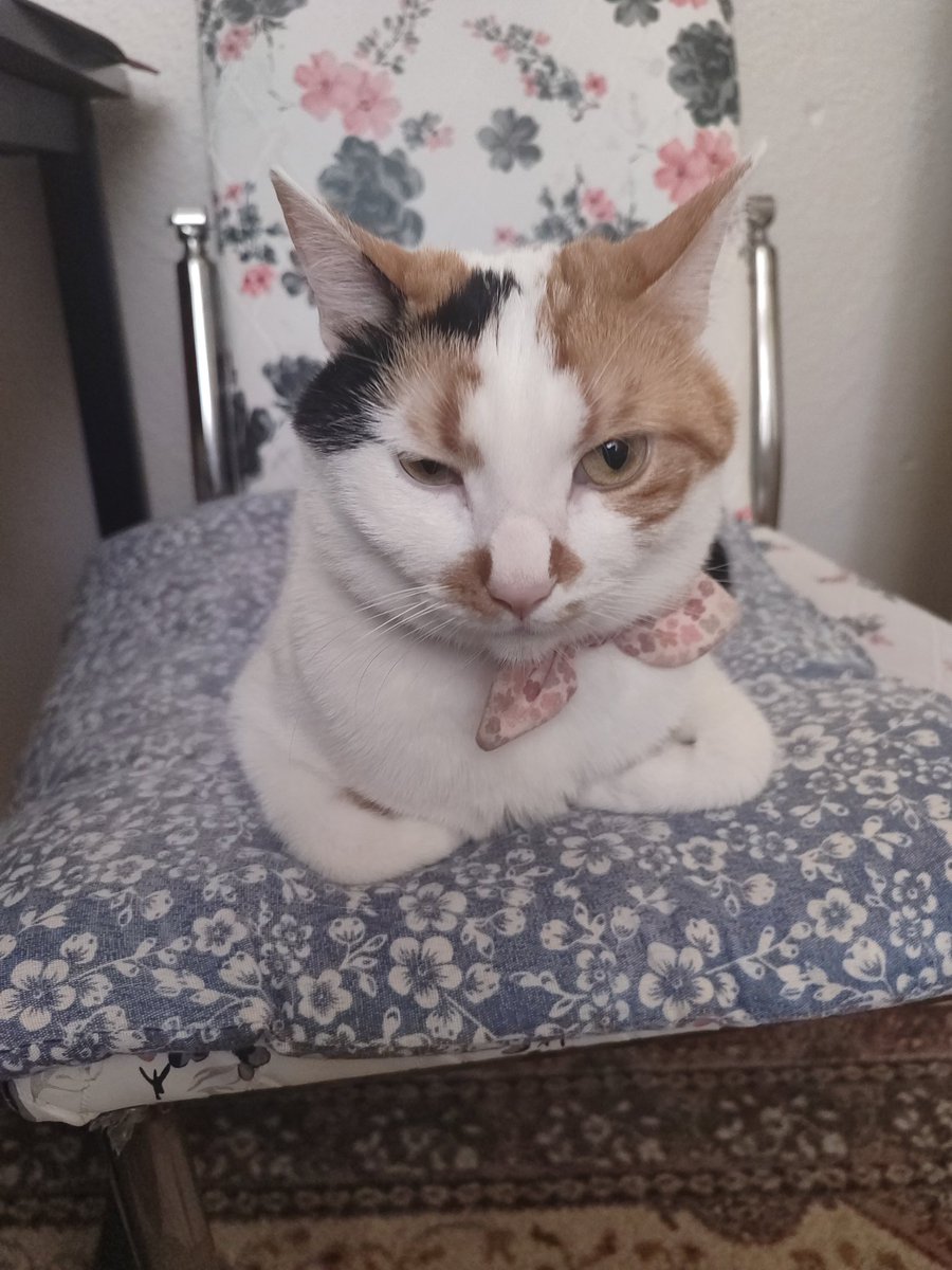 Gümcel gerginlik seviesi