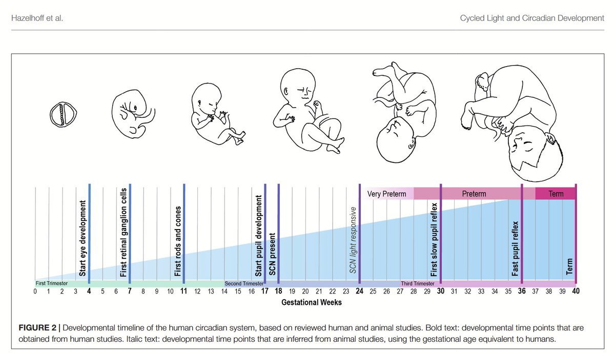 Satchin Panda tweet media